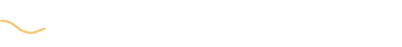 light logo